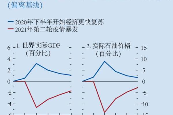 如何计算基金的增长率及其影响因素解析