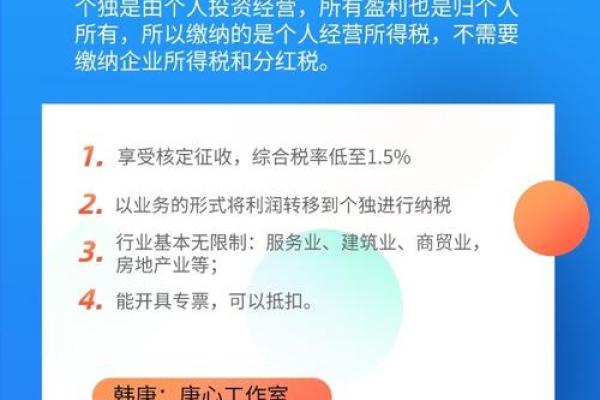 深入了解个人独资企业的定义与特点